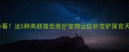 新手必看这5种高颜值低维护宠物让你秒变铲屎官天花板