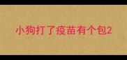 小狗打了疫苗有个包