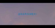 金毛拉布拉多配犬