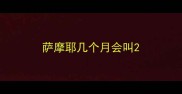 萨摩耶几个月会叫
