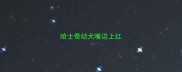 哈士奇幼犬嘴边上红