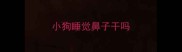 小狗睡觉鼻子干吗