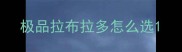 极品拉布拉多怎么选