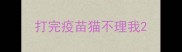 打完疫苗猫不理我