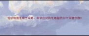雪纳瑞换毛期全攻略科学应对换毛难题的12个关键步骤