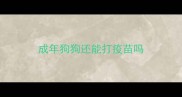 成年狗狗还能打疫苗吗