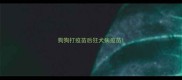 狗狗打疫苗后狂犬病疫苗