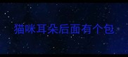 猫咪耳朵后面有个包
