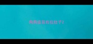 狗狗疫苗后拉肚子