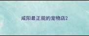 咸阳最正规的宠物店