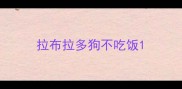 拉布拉多狗不吃饭