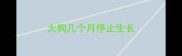 大狗几个月停止生长