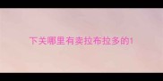 下关哪里有卖拉布拉多的
