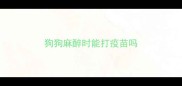 狗狗麻醉时能打疫苗吗