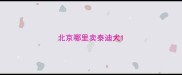 北京哪里卖泰迪犬