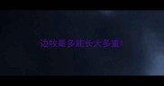 边牧最多能长大多重