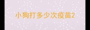 小狗打多少次疫苗