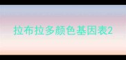 拉布拉多颜色基因表