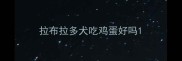 拉布拉多犬吃鸡蛋好吗