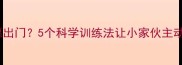 哈士奇不愿出门5个科学训练法让小家伙主动爱上遛弯