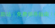 合肥流浪动物救助站免费领养指南0元领养攻略