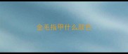 金毛指甲什么颜色
