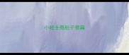 小哈士奇肚子很扁