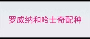 罗威纳和哈士奇配种