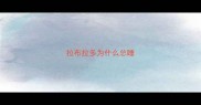 拉布拉多为什么总睡