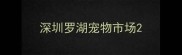 深圳罗湖宠物市场