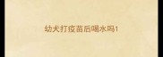 幼犬打疫苗后喝水吗