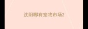 沈阳哪有宠物市场