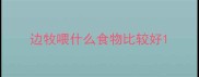 边牧喂什么食物比较好