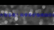 惠比特犬四个月大有多高科学养护指南助你掌握黄金发育期