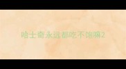 哈士奇永远都吃不饱嘛