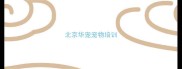 北京华宠宠物培训