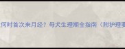 泰迪犬何时首次来月经母犬生理期全指南附护理要点