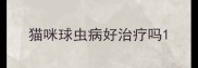 猫咪球虫病好治疗吗