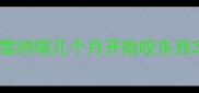 雪纳瑞几个月开始咬东西