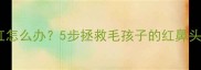 猫咪鼻子干燥发红怎么办5步拯救毛孩子的红鼻头附专业护理指南