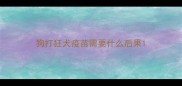 狗打狂犬疫苗需要什么后果
