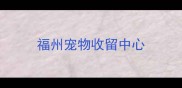 福州宠物收留中心
