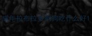 成年拉布拉多狗狗吃什么好