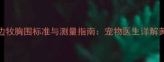 两个月大的边牧胸围标准与测量指南宠物医生详解黄金发育区间