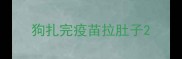 狗扎完疫苗拉肚子