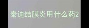 泰迪结膜炎用什么药