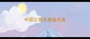中国正规灰泰迪犬舍
