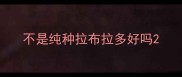 不是纯种拉布拉多好吗