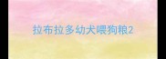 拉布拉多幼犬喂狗粮