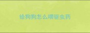 给狗狗怎么喂驱虫药